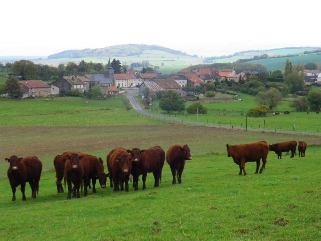 Chambre D'Hotes La Ferme Du Vallon Moirey Exterior foto